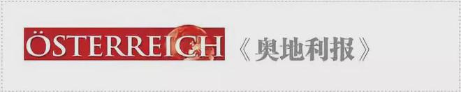 【德奥头条】奥地利社会福利欺诈案件增多(图2)