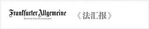 【德奥头条】奥地利社会福利欺诈案件增多(图3)