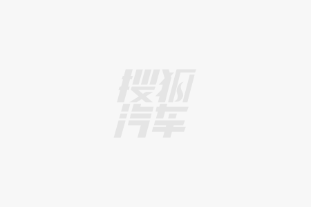 埃尔法奢华感依旧！配华为车机一口价仅售2418万剑指腾势D9(图2)