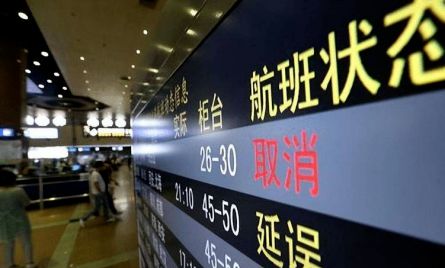 女子利用天气预报频繁购买飞机延误险5年买中900多次